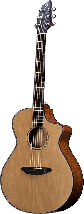 Atlas Solo C350/CMe by Breedlove