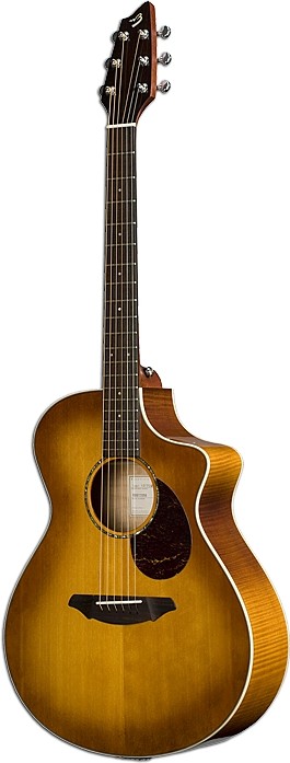 Passport Plus C250 by Breedlove