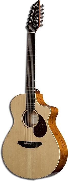 Passport Plus C250/SBe 12 by Breedlove