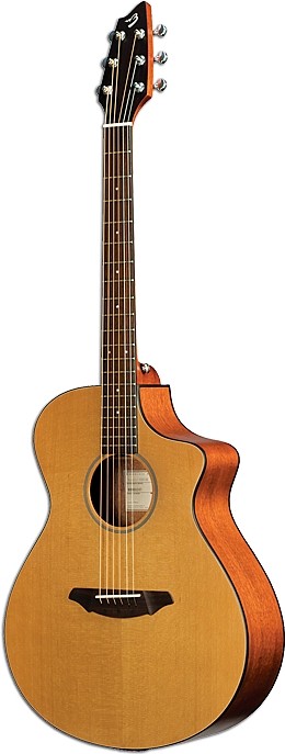 Passport C250/CMe by Breedlove