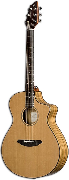 Passport C250/COe by Breedlove