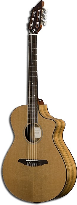 Passport N250/COe by Breedlove