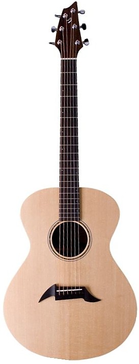 American C20/SR by Breedlove