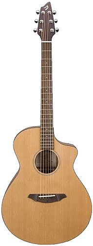 Passport C25 FS by Breedlove