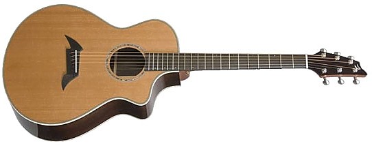 Pro C25/CR Herringbone by Breedlove