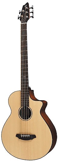 Atlas Series Studio BJ350/SM5 by Breedlove