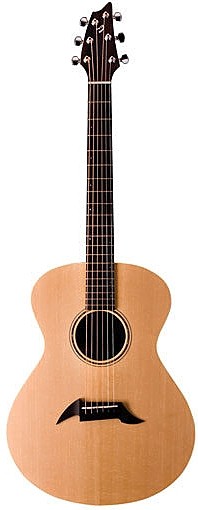 American Series C20/SM by Breedlove