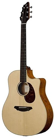 Passport Plus D250/SBe by Breedlove