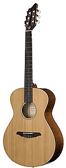 Passport N200/CMP by Breedlove