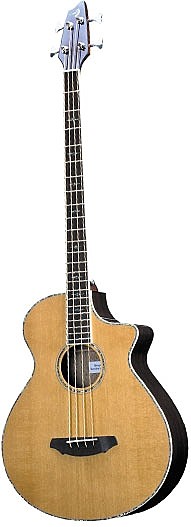 Atlas Series Stage BJ350/CR4 by Breedlove