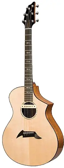 Performance Fusion Special Edition by Breedlove