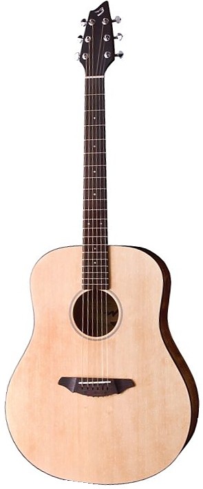 Passport D200/SMP by Breedlove