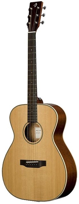 Passport Plus D/CMe by Breedlove