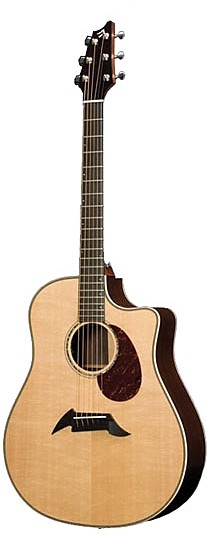 Pro D25/SR Herringbone by Breedlove