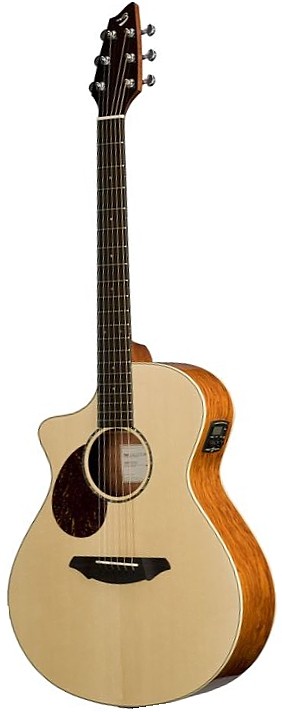 Passport Plus C250/SB Left Handed by Breedlove