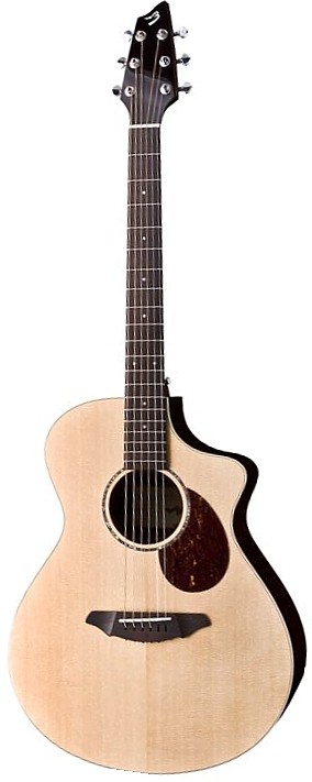 Passport Plus C250/SRe by Breedlove