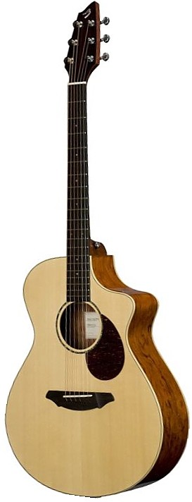 Passport Plus C250/SB by Breedlove