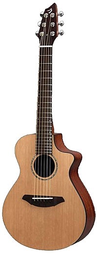 Passport C25 T by Breedlove