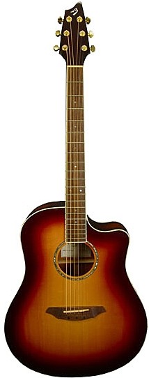 American Series D25/SM by Breedlove