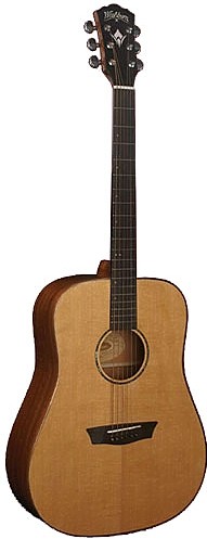 WD 160SW by Washburn