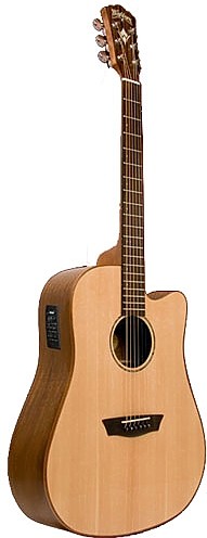 WD 750SWCE by Washburn