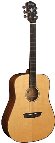 WD 150SW by Washburn