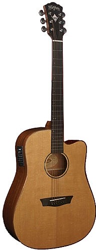 WD 160SWCE by Washburn