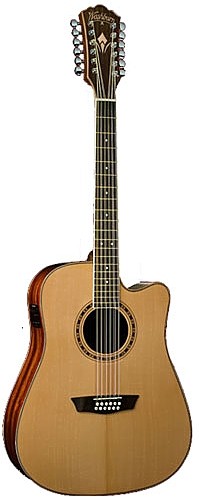 WD 10SCE12 by Washburn