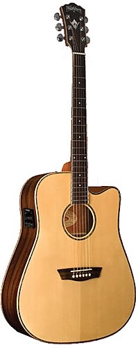 WD 25SCE by Washburn