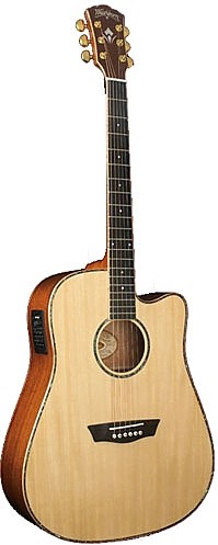 WD 55SCE by Washburn