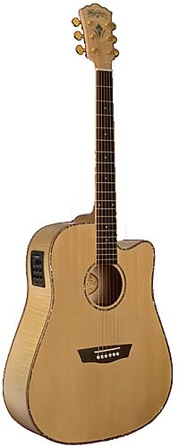 WD 45SCE by Washburn