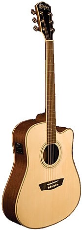 WCD 18CE by Washburn