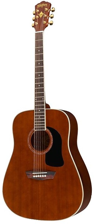 WD 100DL by Washburn