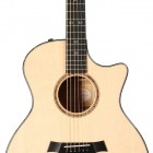 Taylor 514ce-LTD (Fall 2010 Limited Koa 500 Series)