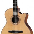 Taylor NS74ce