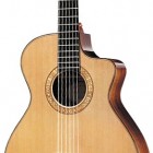 Taylor NS72ce