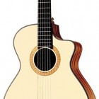 Taylor NS32ce