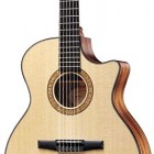 Taylor NS34ce