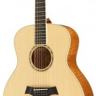 Taylor GS6 12