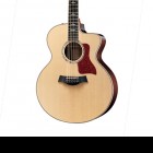 Taylor 855ce