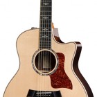 Taylor 856ce