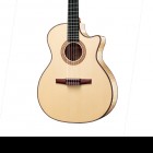 Taylor NS64ce