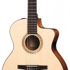 Taylor NS24ce