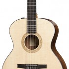 Taylor NS24e