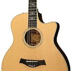 Taylor W16ce-LTD