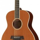 Taylor GS5 12