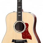 Taylor 810e-LTD