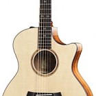 Taylor 510ce-LTD