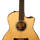 Taylor 716ce-LTD