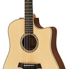 Taylor 410ce-LTD (Spring 2010 Limited Walnut 400 Series)